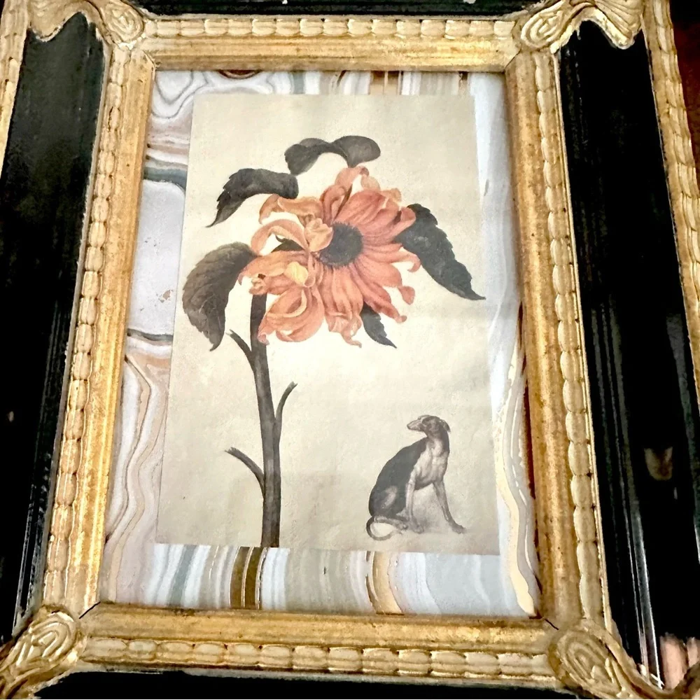 Surreal Sunflower & Dog Art Postcard Print Framed Art Nouveau Frame Black Gold